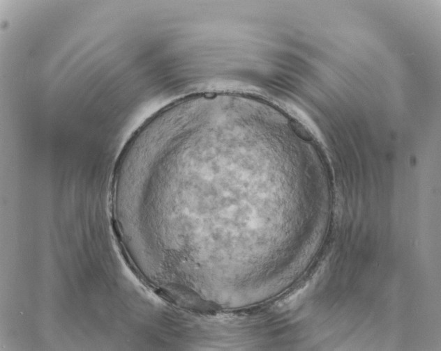 X0000088380847200706121143