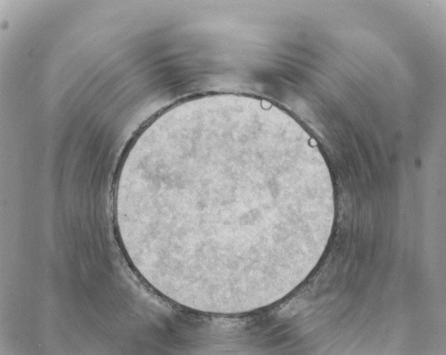 X0000088380848200706121143