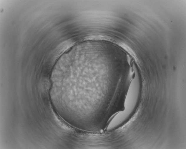 X0000088380849200706121143