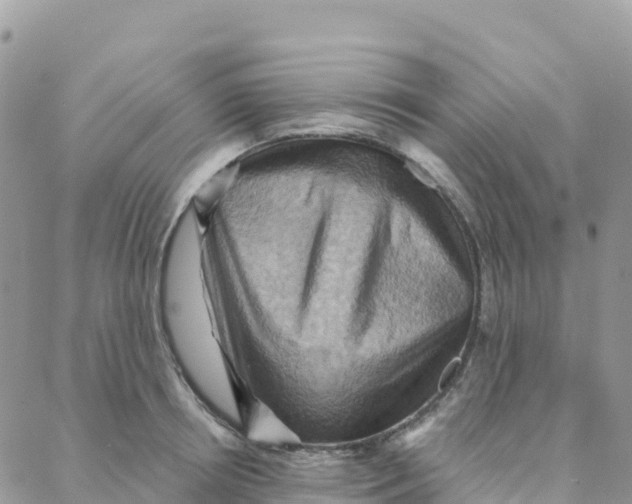 X0000088380850200706121143