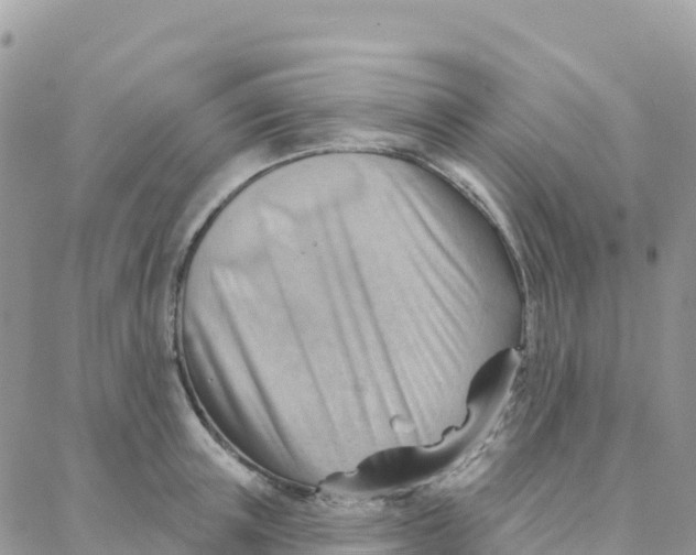 X0000088380851200706121143