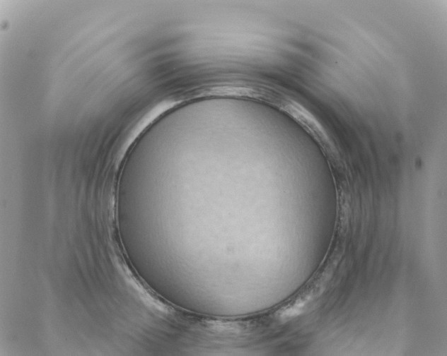 X0000088380852200706121143