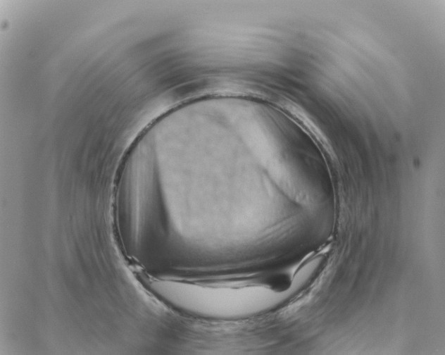 X0000088380853200706121143