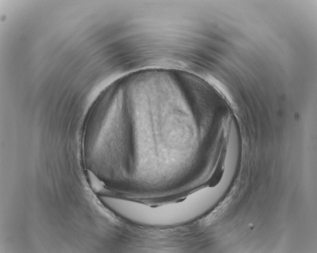 X0000088380854200706121143