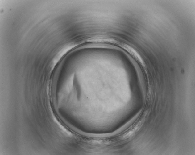 X0000088380855200706121143