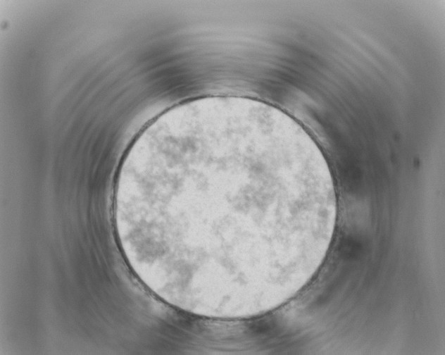 X0000088380856200706121143