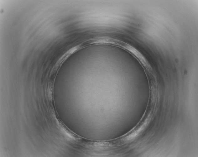 X0000088380857200706121143