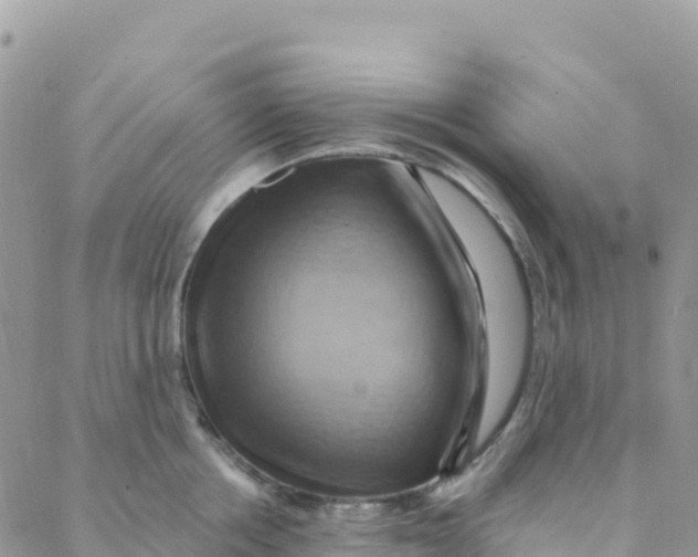 X0000088380858200706121143