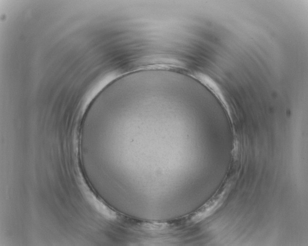 X0000088380859200706121143