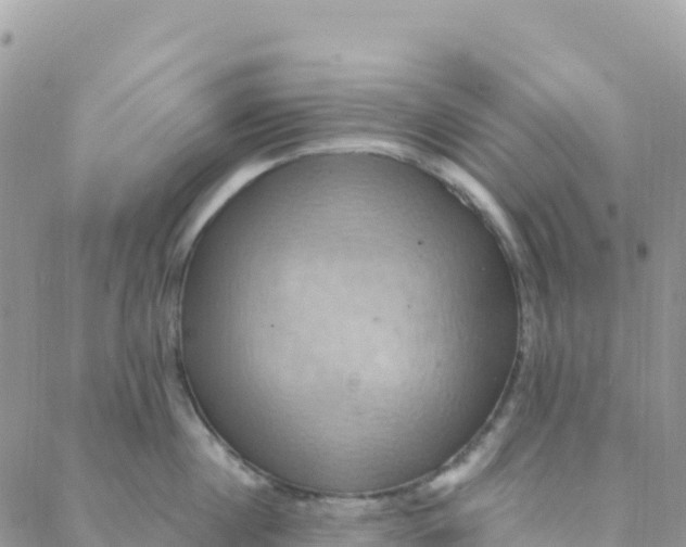 X0000088380860200706121143