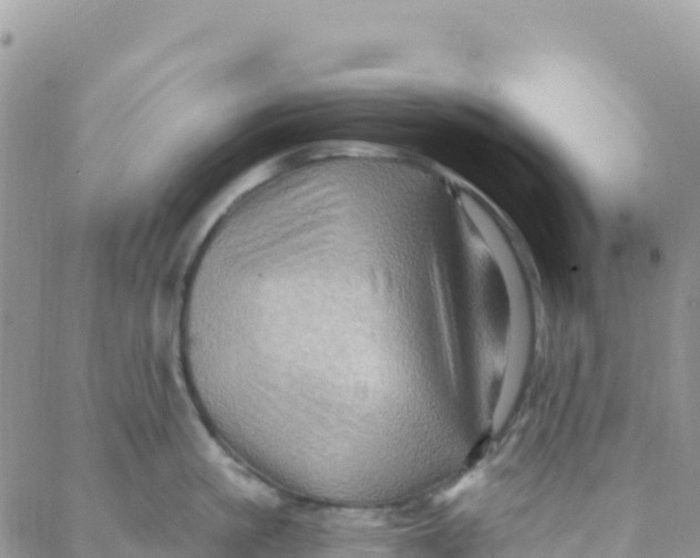 X0000088380861200706121143