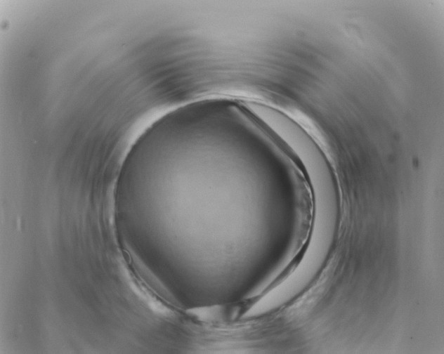 X0000088380862200706121143