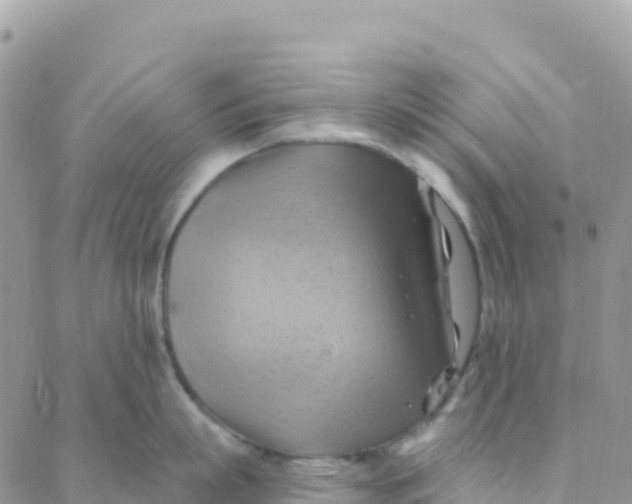 X0000088380863200706121143