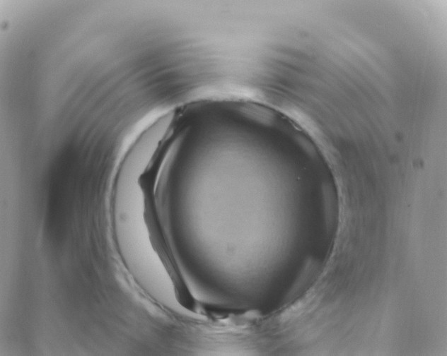 X0000088380864200706121143