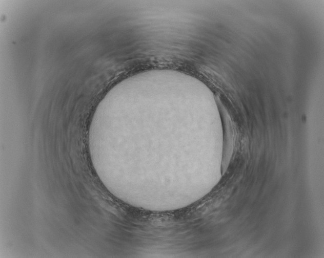 X0000088380865200706121142