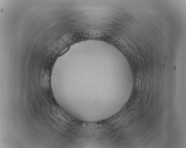 X0000088380866200706121142