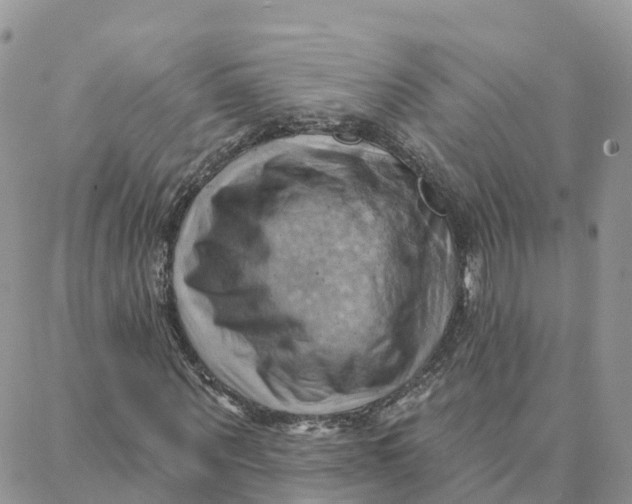 X0000088380867200706121142