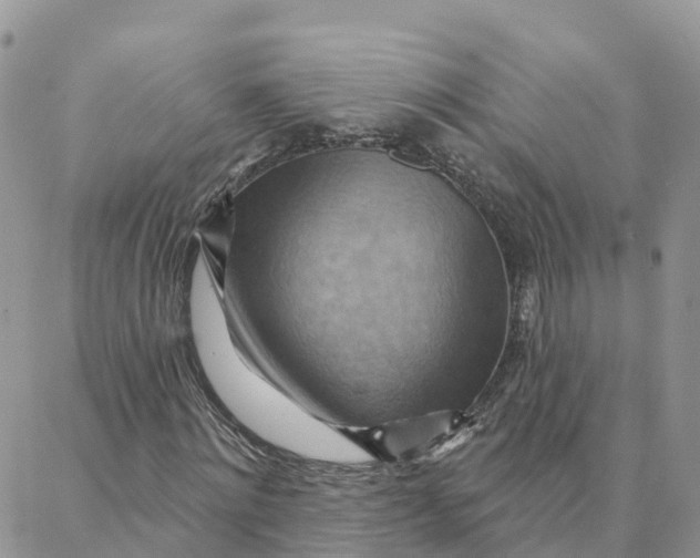 X0000088380868200706121142