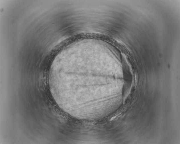 X0000088380870200706121142