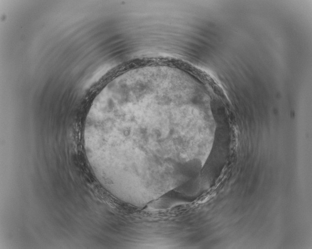 X0000088380871200706121142