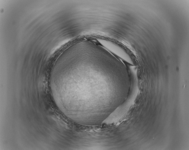 X0000088380872200706121142