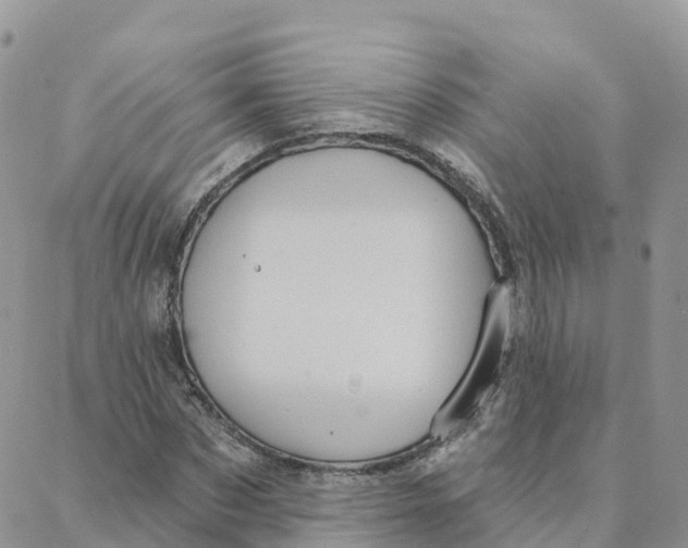 X0000088380873200706121142