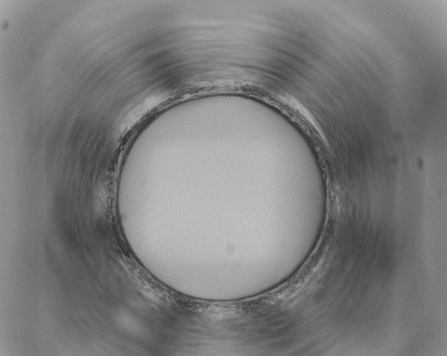 X0000088380874200706121142