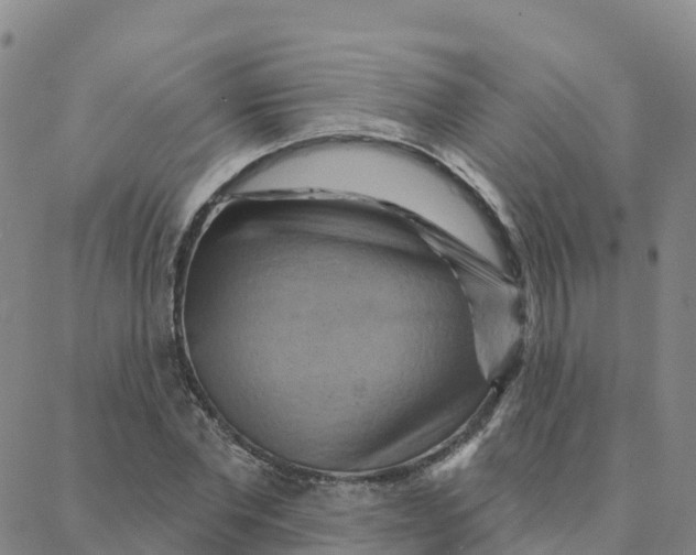 X0000088380877200706121142