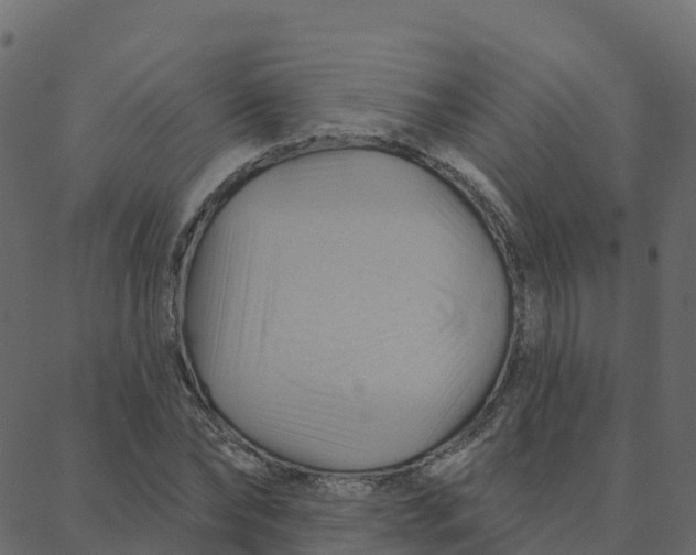 X0000088380878200706121142