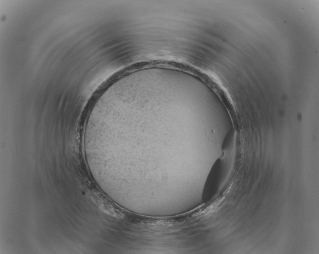 X0000088380879200706121142