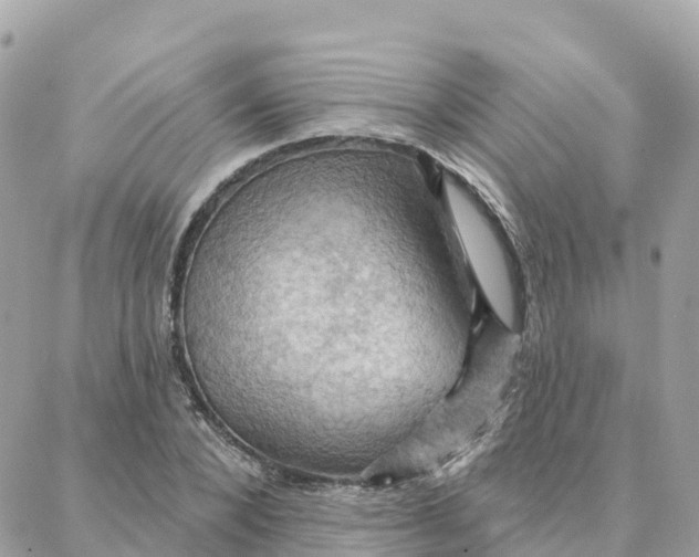 X0000088380880200706121142