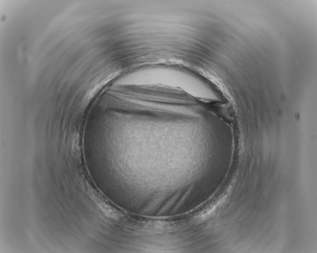 X0000088380881200706121142