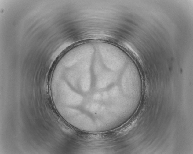 X0000088380883200706121142