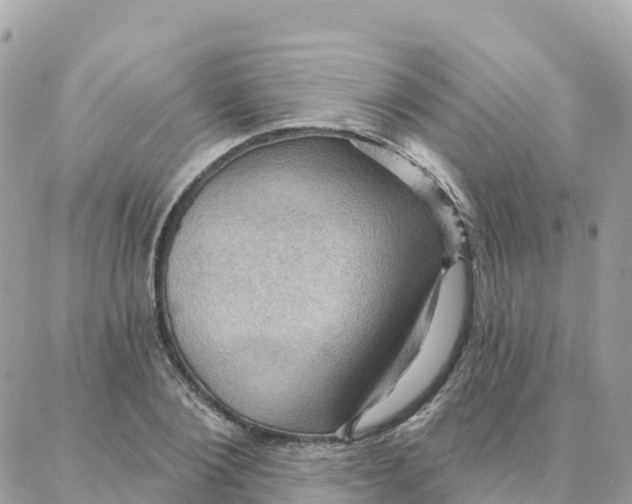 X0000088380884200706121142