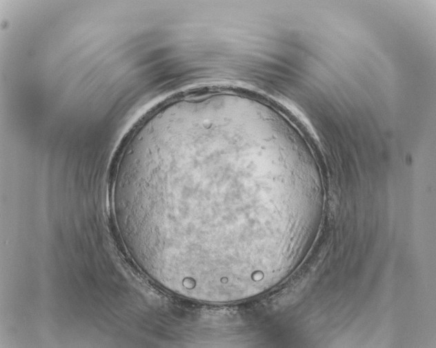 X0000088380887200706121142