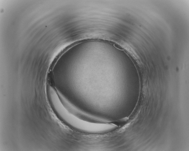 X0000088380888200706121142