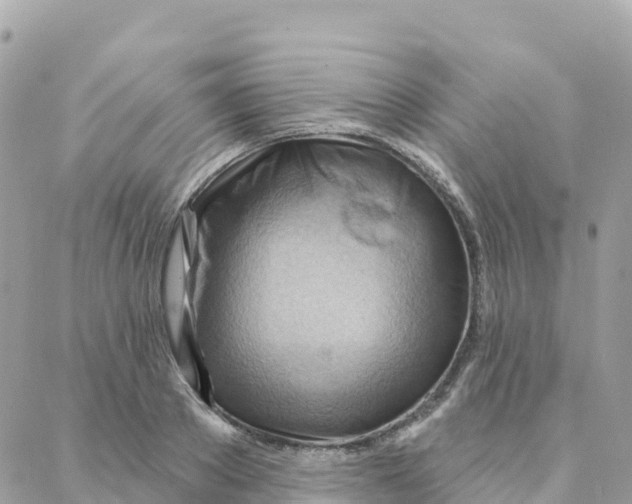 X0000088380889200706121142