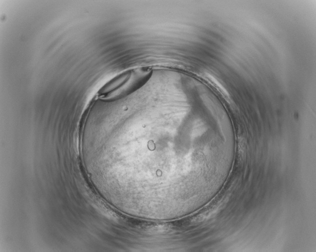 X0000088380891200706121142