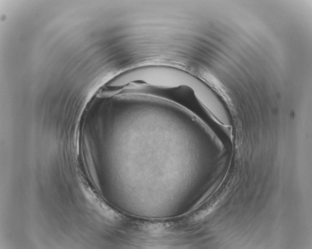 X0000088380892200706121142