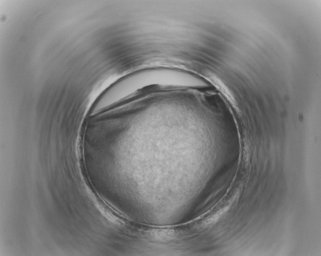 X0000088380893200706121142