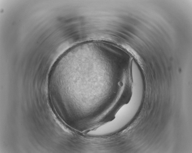 X0000088380894200706121142