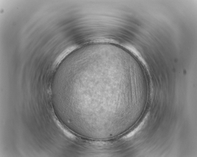 X0000088380897200706121142