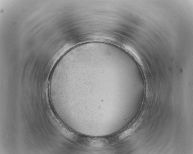 X0000088380899200706121142