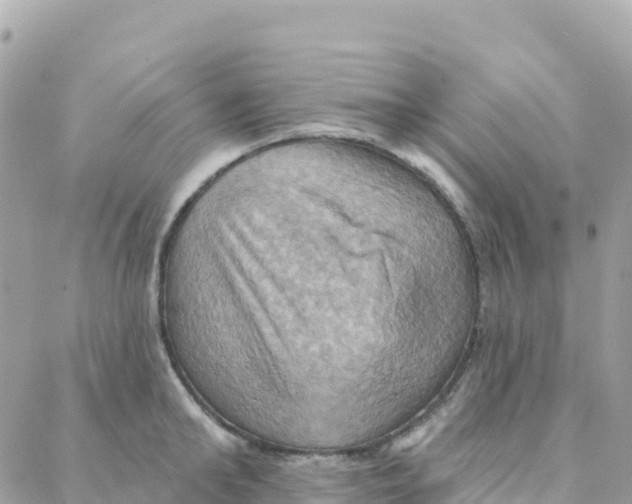 X0000088380902200706121142