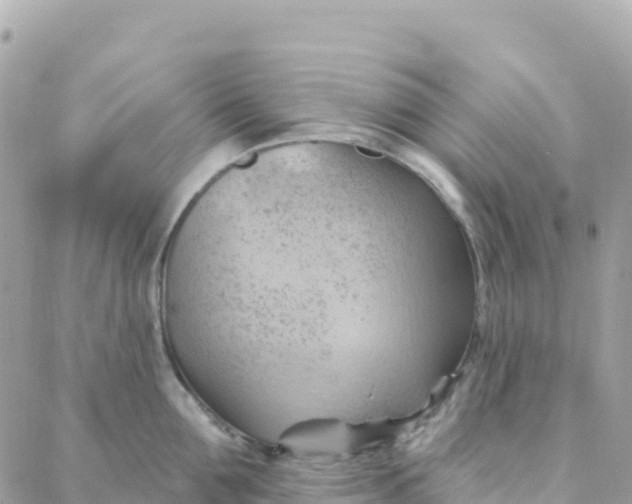 X0000088380907200706121142