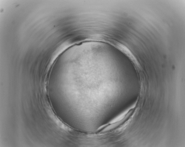 X0000088380908200706121142