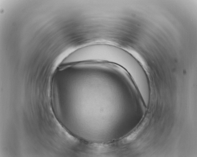 X0000088380910200706121142