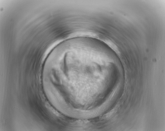 X0000088380912200706121142