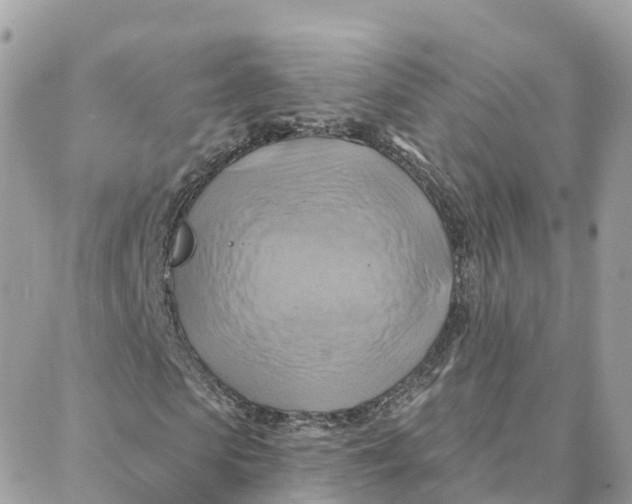 X0000088380913200706121141