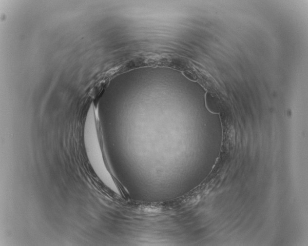 X0000088380914200706121141